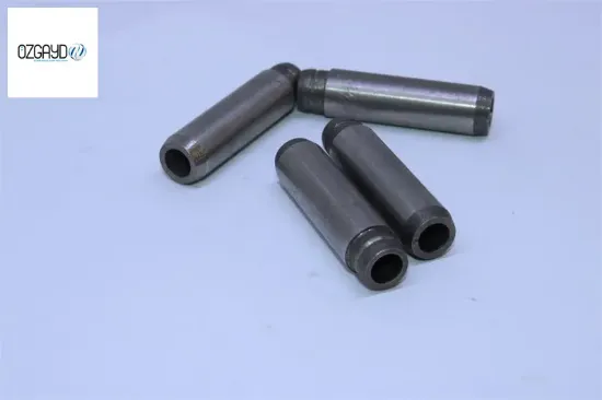 Supap Gaydi In/ex-16  Palio-albea-doblo 1.2  16v resmi