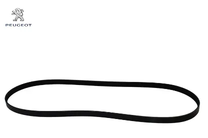 Alternatör Kayişi 6 Pk 1603  306-406 16v Klimali resmi