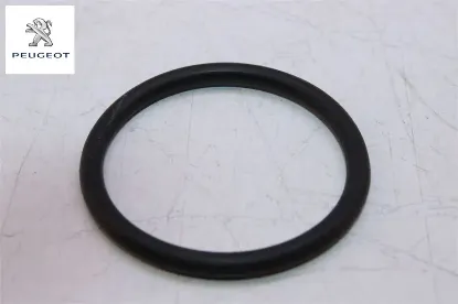 Su Kollektör Contasi Peugeot  2S6Q8564AA/    1336.AC resmi