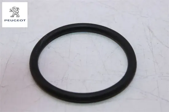 Su Kollektör Contasi Peugeot  2S6Q8564AA/    1336.AC resmi