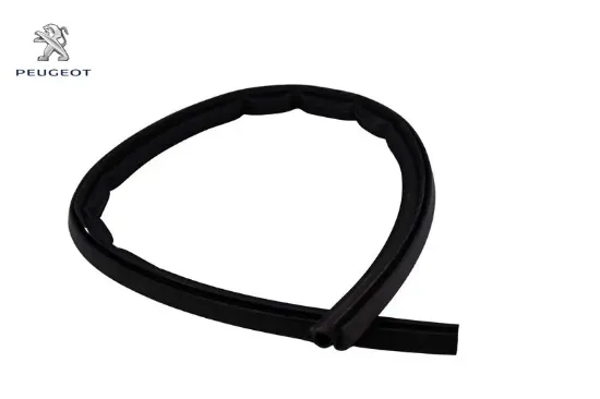 Ön Cam Alt Izgara Contasi Bipper Peugeot 1634200580 resmi