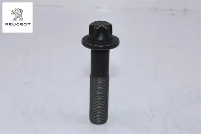 Civata Peugeot 0516.S2 resmi