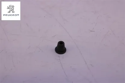 Klips Peugeot 6979.C6 resmi