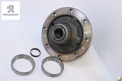 Marhuti Govdesi                        Prt resmi