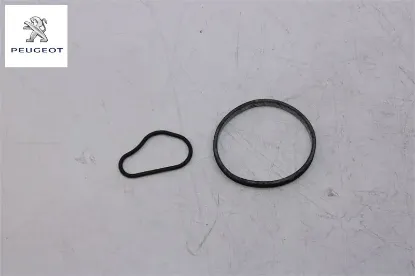 Vakum Pompa Conta Tk.  307 Dv6td Peugeot 4599.41 resmi