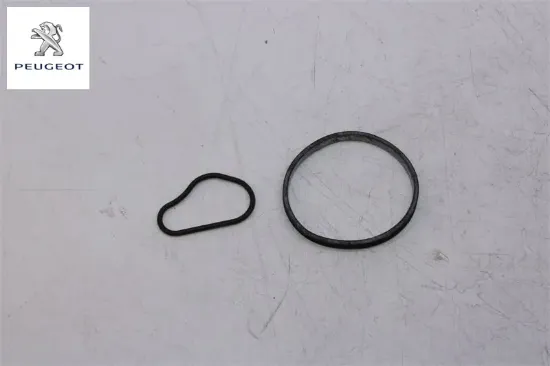 Vakum Pompa Conta Tk.  307 Dv6td Peugeot 4599.41 resmi