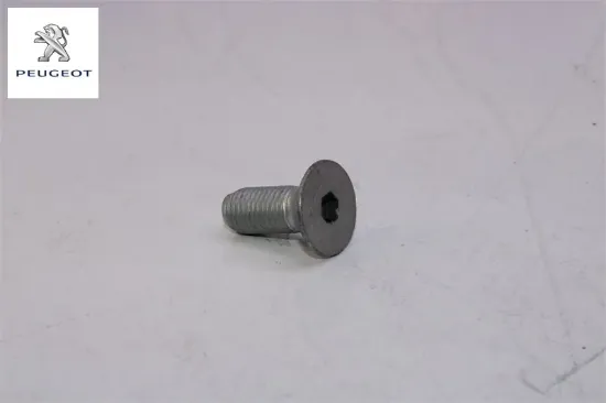 Vida Peugeot 6904.40 resmi