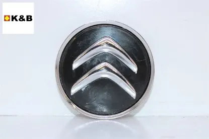 Çelik Jant Göbeği  C1-c2-c3-c4-c5-c6-c Elysee-ds3-ds4-ds5-berlingo-nemo-spacetourer resmi