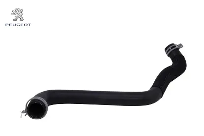 Radyatör Alt Hortum 307 308 3008 5008 Tepe C4 resmi