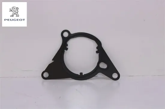 Fren Vakum Pompa Contasi Eb2adts Peugeot 9801728380 resmi