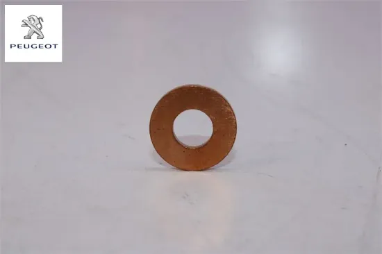 Enjektör Pulu  206-307-focus Dv6td 1.6hdi resmi