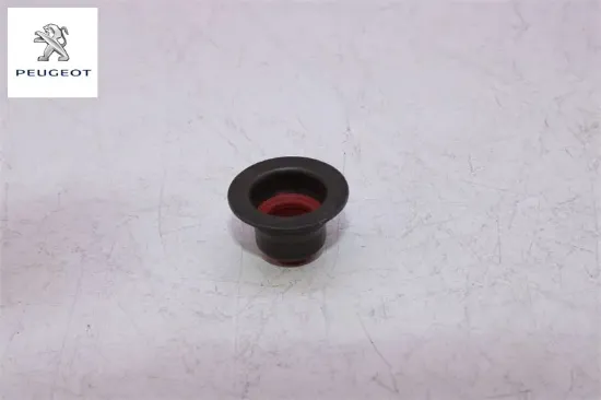 Subap Lastiği A20dth Insignia Peugeot    LANCIA, OPEL, FIAT, ALFA ROMEO 55183812 resmi