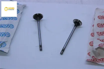 Takim Supap  206-307-308-3008-partner-focus 1.6hdi Güneş  0948.C7-0949.C3   4574-4575 resmi