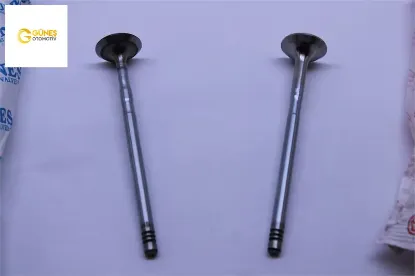 Takim Supap  Fiorino-linea-bipper 1.3jtd 16v Euro5 resmi