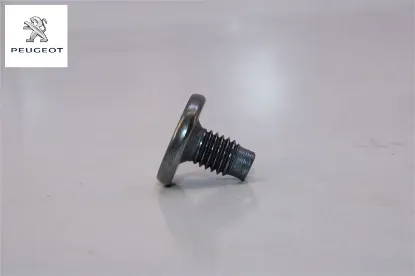 Kilit Bağlanti Vidasi Peugeot 6925.T3 resmi