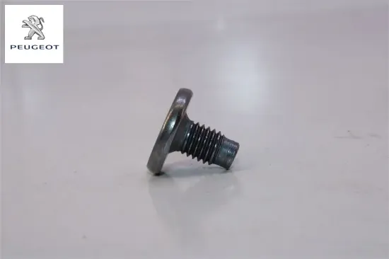 Kilit Bağlanti Vidasi Peugeot 6925.T3 resmi