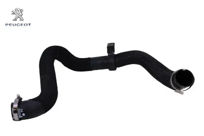 Turbo Radyatör Hortumu Expert Iv Traveller resmi