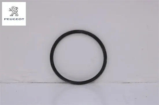 Mazot Pompa Contasi 3008-5008-expert Traveller Dw10fd resmi