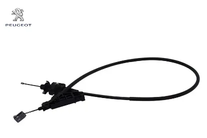 El Fren Teli Ön Expert-jumpy  Iii Peugeot 4746.52 resmi