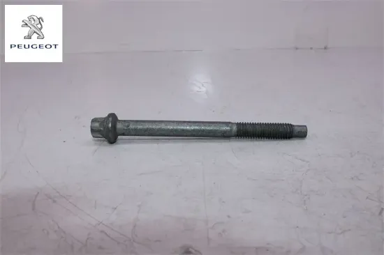 Enjektör Civatasi (10 Pakettir)   208-308-301-508-3008-5008-expert-partner- resmi