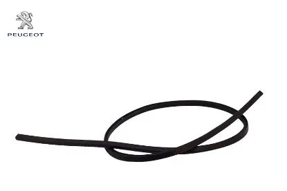 Conta Peugeot 9824027780 resmi