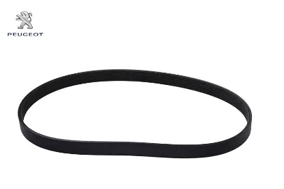 Alternatör Kayişi 6pk895 Ep6dt 208-308 T9-2008-3008-3008 P84 resmi