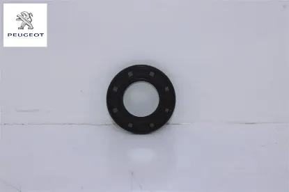 Eksantrik Keçesi Dw10bted 307/308/406/407/508 resmi