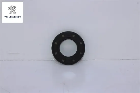 Eksantrik Keçesi Dw10bted 307/308/406/407/508 resmi