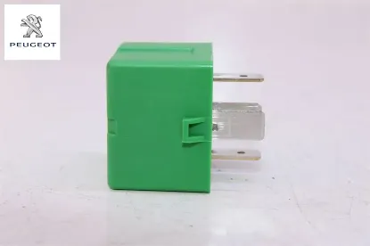 Fan Role 206 Peugeot 6547.TX resmi