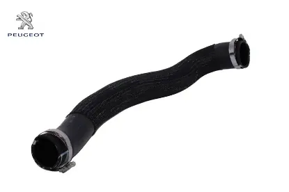 Turbo Radyatör Hortumu    Expert Iv-traveller-jumpy Iv-spacetourer resmi