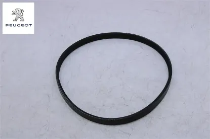 Su Pompa Kayişi / Mokka (p2qo) 3pk576 Peugeot 1692660480 resmi