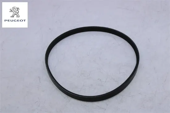 Su Pompa Kayişi / Mokka (p2qo) 3pk576 Peugeot 1692660480 resmi