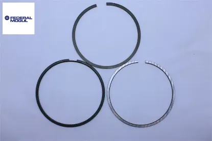 Segman  206  1.6 16v  Tu5jp4 Federal Mogul 68892000G resmi