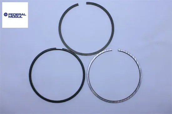 Segman  206  1.6 16v  Tu5jp4 Federal Mogul 68892000G resmi