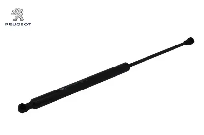 Bagaj Amortisörü    307 Peugeot    PEUGEOT 7925.15 resmi