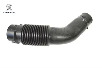 Hava Gir Manif Peugeot 9810920980 resmi