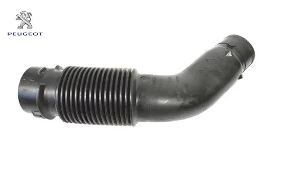 Hava Gir Manif Peugeot 9810920980 resmi