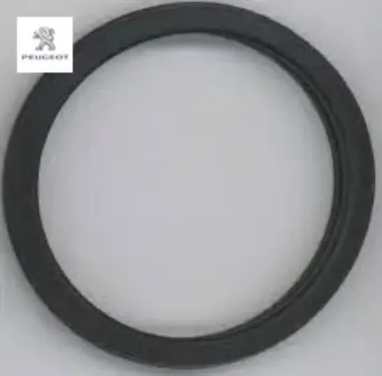 Toroidal Conta O-ring - C4 X (c43) Peugeot 9813216680 resmi