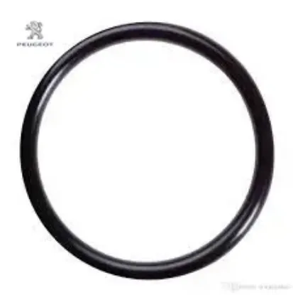 Toroidal Conta O-ring - C4 X (c43) Peugeot 9813217180 resmi