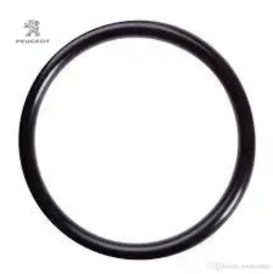 Toroidal Conta O-ring - C4 X (c43) Peugeot 9813217180 resmi
