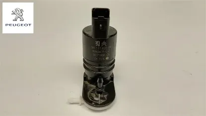 Su Fiskiye Motoru Peugeot 9813363380 resmi