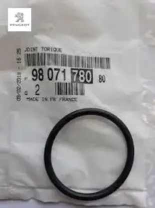 O-ring Peugeot 9807178080 resmi