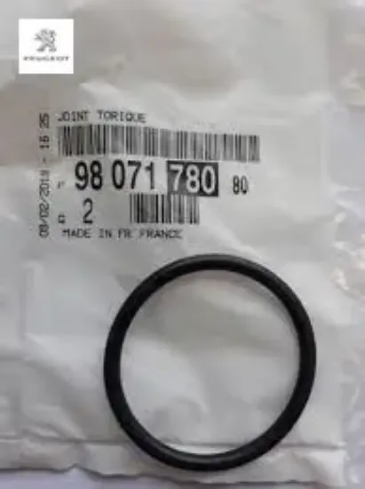 O-ring Peugeot 9807178080 resmi