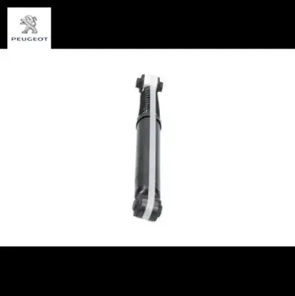 Arka Amortisör Cactus Peugeot 9820952980 resmi