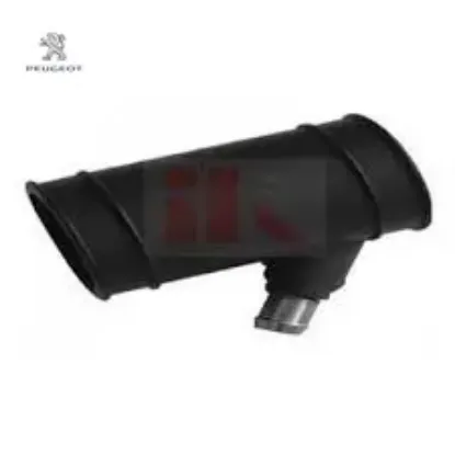 Hava Filtre Hortum Kapak Peugeot 1434.F9 resmi