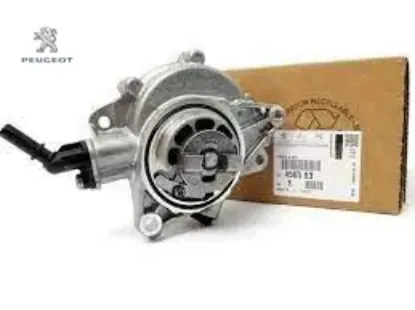 Vakum Pompasi  208-308-3008-508- Rcz  Ep6cdt resmi