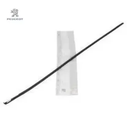 Tavan Çita Sol Peugeot 107 Peugeot 8319.J6 resmi