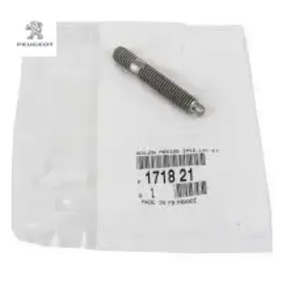Egsoz Saplamasi Peugeot 1718.21 resmi