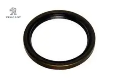 Mazot Basinç Müşür Contasi  Dw6ted4 Peugeot  1920.TG    1920.TG resmi