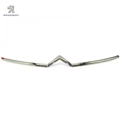 Çita Peugeot 7966.29 resmi